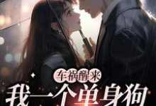 求车祸醒来,我一个单身狗有了娃?小说免费资源-乐读文学