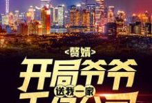 叶辰萧初然为主角的小说叫什么?免费看赘婿:开局爷爷送我一家千亿公司-乐读文学