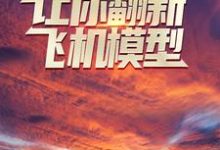 已完结小说《让你翻新飞机模型,你却打造幽灵战机?》在线章节阅读-乐读文学
