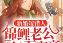 免费阅读 安浅年谨尧为主角的小说,新婚嫁错人,锦鲤老公竟是亿万富豪在线看-乐读文学