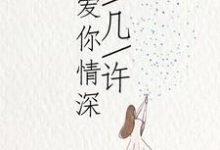 爱你情深深几许小说的所有章节都能在哪里免费读到?-乐读文学