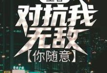 王者:对抗我无敌,你随意小说有没有完整的免费版本在线阅读?-乐读文学