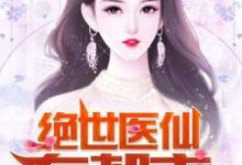 哪里能找到绝世医仙在都市小说的全部章节?-乐读文学