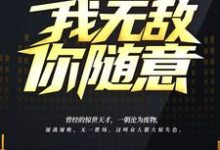 主人公叫叶无缺仙儿慕容长青的小说哪里免费看-乐读文学