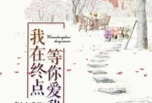 已完结小说《我在终点等你爱我》最新章节-乐读文学