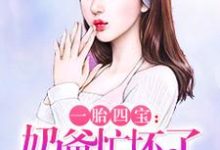 一胎四宝:奶爸忙坏了(林南南仇厉琛)在线免费阅读-乐读文学