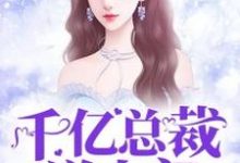 千亿总裁送上门这本小说在哪里可以看?哪里有免费试读章节?-乐读文学