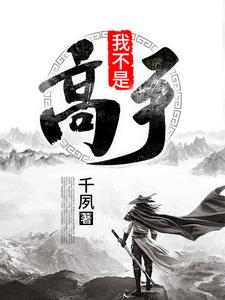 完结版《我不是高手》章节阅读