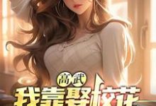 高武:我靠娶校花获圣体小说,高武:我靠娶校花获圣体萧炎孟扶摇-乐读文学