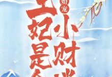 《凰权婚宠:王妃是个小财迷》小说章节列表免费试读,顾司司慎王小说在线阅读-乐读文学