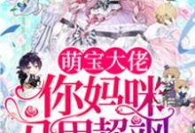 梁浅秦九墨梁乐小说《萌宝大佬,你妈咪马甲超飒》在线阅读-乐读文学