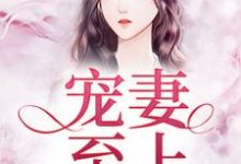 《宠妻至上》小说大结局免费试读 叶晴穆子琛小说-乐读文学