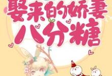 甜蜜诱饵:娶来的娇妻八分糖主角宋亚潇莫钦枫小说完结版章节在线阅读-乐读文学
