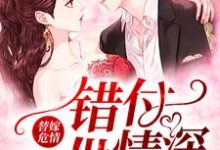 沈随心顾冷言小说在线章节免费阅读(替嫁危情:错付一世情深无弹窗无删减)-乐读文学