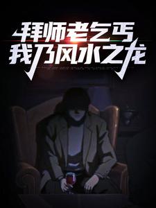 陈启林苏荷为主角的小说拜师老乞丐：我乃风水之龙在线阅读