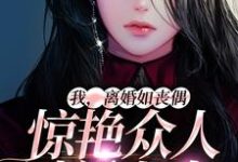 我,离婚如丧偶,惊艳众人过新人生桑知语沈辞小说免费阅读-乐读文学