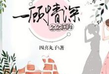 一顾情深,念念似海小说的免费阅读版本在哪里可以找到?-乐读文学