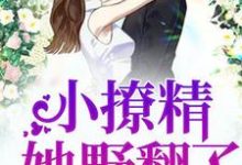 《豪门团宠:小撩精她野翻了》小说章节列表免费试读,夏星辰苏慕锦杨小灿米朵儿小说在线阅读-乐读文学