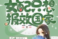 主角章序陆屿小说完结版在线阅读,快穿之女配只想报效国家免费看-乐读文学