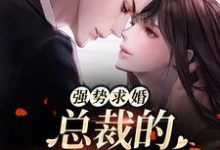 免费在线阅读强势求婚,总裁的幸孕罪妻小说的正规网站有哪些?-乐读文学