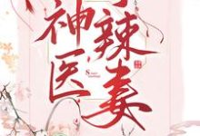 寻找神医小辣妻小说的最新更新章节-乐读文学