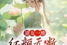 寻找猪友一堆,红颜无数,这叫年少有为小说的最新更新章节-乐读文学