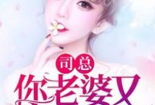 已完结小说《司总,你老婆又逃婚了》最新章节-乐读文学