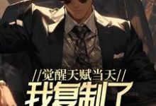 已完结小说《觉醒天赋当天,我复制了SSS级天赋》最新章节-乐读文学
