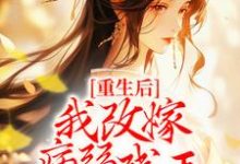 已完结小说《重生后,我改嫁病弱残王扶他上位》章节免费阅读-乐读文学