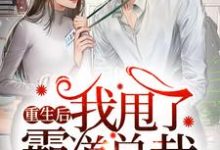 重生后我甩了霸道总裁小说的最新章节在哪里更新?免费追踪阅读-乐读文学