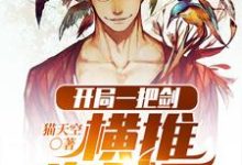 完结版《开局一把剑,横推海贼王》章节阅读-乐读文学