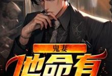 在线寻找鬼妻:他命有红源小说的无删减版本-乐读文学