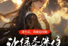 主角叫沈宁烟洛凌渊的小说在哪阅读-乐读文学