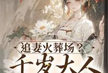 在线寻找叶晚棠燕白洲贝戋盛京昱王的小说,追妻火葬场?千岁大人不同意免费阅读-乐读文学
