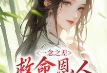 一念之差,救命恩人变害命凶手秦漱宋郇,一念之差,救命恩人变害命凶手小说免费阅读-乐读文学