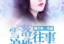 雪落往事,遍地苍白小说有没有完整的免费版本在线阅读?-乐读文学