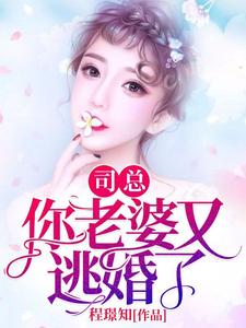 小说《司总，你老婆又逃婚了》章节免费阅读