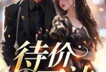 哪里能找到待价而沽小说的全部章节?-乐读文学