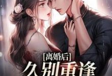 离婚后,久别重逢前夫跪求原谅小说的最新章节在哪里更新?免费追踪阅读-乐读文学