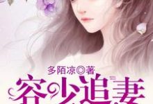 言梓瞳容肆的故事在哪本书里?免费阅读容少追妻花招多-乐读文学