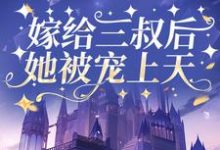 崔桑宁权御为主角的小说叫什么?免费看嫁给三叔后她被宠上天-乐读文学