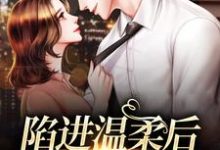 陷进温柔后,他宠上瘾了小说,陷进温柔后,他宠上瘾了章节在线阅读-乐读文学