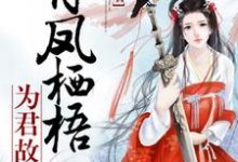有凤栖梧为君故柳若水墨白小说免费阅读-乐读文学