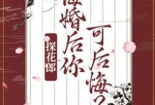 柳文茵谢安为主角的小说叫什么?免费看探花郎,悔婚后你可后悔?-乐读文学
