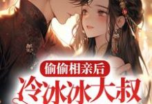 主角沐星野封樾小说完结版在线阅读,偷偷相亲后,冷冰冰大叔不藏爱了免费看-乐读文学
