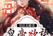 《皇后太娇美,皇帝欲望难忍》全集免费在线阅读(陆芷鸢沈君樾)-乐读文学
