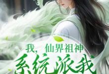 免费在线阅读我,仙界祖神,系统派我下界护道小说的正规网站有哪些?-乐读文学