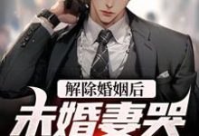 赵凛小说《解除婚姻后,未婚妻哭着求复合》在线阅读-乐读文学