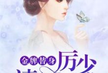 金牌替身,厉少请自重小说的免费阅读版本在哪里可以找到?-乐读文学