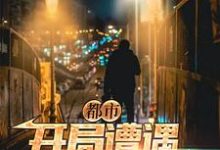 都市:开局遭遇中年危机林山小说在线章节免费阅读-乐读文学